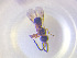  ( - NOCER-819)  @11 [ ] CC-NC-SA (2022) Arnstein Staverlokk Norwegian Institute of Nature Research