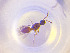  ( - NOCER-833)  @11 [ ] CC-NC-SA (2022) Arnstein Staverlokk Norwegian Institute of Nature Research