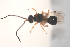  ( - NOCER-360)  @11 [ ] CC-NC-SA (2021) Arnstein Staverlokk Norwegian Institute of Nature Research