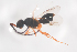  ( - NOCER-370)  @11 [ ] CC-NC-SA (2021) Arnstein Staverlokk Norwegian Institute of Nature Research