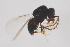  ( - NOCER-411)  @11 [ ] CC-NC-SA (2021) Arnstein Staverlokk Norwegian Institute of Nature Research