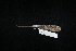  ( - CIBNOR 1109)  @12 [ ] Copyright  P. Cortes-Calva Unspecified