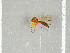  ( - NHMO-DAR-11680)  @11 [ ] CreativeCommons - Attribution Non-Commercial Share-Alike (2016) Unspecified University of Oslo, Natural History Museum