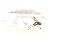  (Greenomyia - MYC10033081)  @13 [ ] Unspecified (default): All Rights Reserved  Unspecified Unspecified