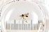  ( - FinMyc500-512)  @13 [ ] Unspecified (default): All Rights Reserved  Unspecified Unspecified