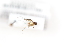  ( - MYC10045292)  @12 [ ] Unspecified (default): All Rights Reserved  Unspecified Unspecified