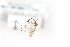  ( - MYC10045393)  @12 [ ] Unspecified (default): All Rights Reserved  Unspecified Unspecified