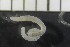 ( - CE30010)  @11 [ ] CreativeCommons - Attribution Share-Alike (2017) Christer Erséus University of Gothenburg