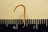  ( - B1_2019)  @11 [ ] CreativeCommons - Attribution Share-Alike (2023) Eric Sanford University of California, Davis