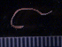  ( - BON_85_2020)  @11 [ ] CreativeCommons - Attribution Share-Alike (2024) Eric Sanford University of California, Davis