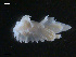  ( - TB446)  @13 [ ] CreativeCommons - Attribution Non-Commercial Share-Alike (2011) NTNU Vitenskapsmuseet NTNU Museum of Natural History and Archaeology