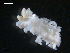 ( - TB464)  @12 [ ] CreativeCommons - Attribution Non-Commercial Share-Alike (2011) NTNU Vitenskapsmuseet NTNU Museum of Natural History and Archaeology