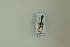  ( - NHMO-DAR-12498)  @11 [ ] CreativeCommons - Attribution Non-Commercial Share-Alike (2017) Unspecified University of Oslo, Natural History Museum