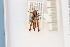  ( - 10077349)  @12 [ ] Unspecified (default): All Rights Reserved  Unspecified Unspecified