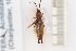  ( - 10077340)  @12 [ ] Unspecified (default): All Rights Reserved  Unspecified Unspecified