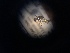  ( - NHMO-ENT-298809)  @11 [ ] CreativeCommons - Attribution Non-Commercial Share-Alike (2018) Unspecified University of Oslo, Natural History Museum