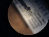  ( - NHMO-ENT-298880)  @12 [ ] CreativeCommons - Attribution Non-Commercial Share-Alike (2018) Unspecified University of Oslo, Natural History Museum