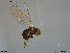  ( - NTNU-VM-203594)  @12 [ ] CreativeCommons - Attribution Non-Commercial Share-Alike (2018) Unspecified University of Oslo, Natural History Museum