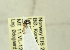  ( - NTNU-VM-203695)  @12 [ ] CreativeCommons - Attribution Non-Commercial Share-Alike (2019) Unspecified University of Oslo, Natural History Museum