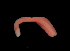  ( - ETP032_SMPP0737)  @11 [ ] CreativeCommons  Attribution Non-Commercial Share-Alike (2019) Unspecified Smithsonian Tropical Research Institute