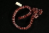  ( - Pili_ETP016_SMPP0753)  @11 [ ] CreativeCommons  Attribution Non-Commercial Share-Alike (2019) Unspecified Smithsonian Tropical Research Institute