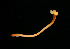  ( - ETP055_SMPP0630)  @11 [ ] CreativeCommons  Attribution Non-Commercial Share-Alike (2019) Unspecified Smithsonian Tropical Research Institute