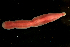  ( - ETP030_SMPP0652)  @11 [ ] CreativeCommons  Attribution Non-Commercial Share-Alike (2019) Unspecified Smithsonian Tropical Research Institute
