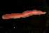  ( - ETP030_SMPP0652)  @11 [ ] CreativeCommons  Attribution Non-Commercial Share-Alike (2019) Unspecified Smithsonian Tropical Research Institute