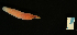  ( - ETP028_SMPP0656)  @11 [ ] CreativeCommons  Attribution Non-Commercial Share-Alike (2019) Unspecified Smithsonian Tropical Research Institute