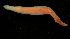  ( - ETP028_SMPP0656)  @11 [ ] CreativeCommons  Attribution Non-Commercial Share-Alike (2019) Unspecified Smithsonian Tropical Research Institute