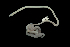 (Baseodiscus dumbledorei - Pili_ETP018_SMPP0859)  @11 [ ] CreativeCommons  Attribution Non-Commercial Share-Alike (2019) Unspecified Smithsonian Tropical Research Institute