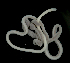  ( - Pili_ETP018_SMPP0859)  @11 [ ] CreativeCommons  Attribution Non-Commercial Share-Alike (2019) Unspecified Smithsonian Tropical Research Institute