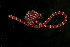  ( - Pili_ETP016_SMPP0865)  @11 [ ] CreativeCommons  Attribution Non-Commercial Share-Alike (2019) Unspecified Smithsonian Tropical Research Institute