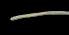  ( - ETP054_SMPP0670)  @11 [ ] CreativeCommons  Attribution Non-Commercial Share-Alike (2019) Unspecified Smithsonian Tropical Research Institute