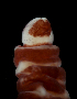  ( - Pili_ETP016_SMPP0865)  @11 [ ] CreativeCommons  Attribution Non-Commercial Share-Alike (2019) Unspecified Smithsonian Tropical Research Institute
