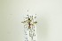  ( - NHMO-DAR-12939)  @12 [ ] CreativeCommons - Attribution Non-Commercial Share-Alike (2017) Unspecified University of Oslo, Natural History Museum
