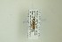  ( - NHMO-DAR-13313)  @12 [ ] CreativeCommons - Attribution Non-Commercial Share-Alike (2017) Unspecified University of Oslo, Natural History Museum