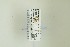  ( - NHMO-DAR-13203)  @11 [ ] CreativeCommons - Attribution Non-Commercial Share-Alike (2017) Unspecified University of Oslo, Natural History Museum