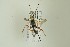  ( - NHMO-DAR-12926)  @12 [ ] CreativeCommons - Attribution Non-Commercial Share-Alike (2017) Unspecified University of Oslo, Natural History Museum