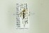  ( - NHMO-DAR-13263)  @12 [ ] CreativeCommons - Attribution Non-Commercial Share-Alike (2017) Unspecified University of Oslo, Natural History Museum
