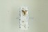  ( - NHMO-DAR-13221)  @12 [ ] CreativeCommons - Attribution Non-Commercial Share-Alike (2017) Unspecified University of Oslo, Natural History Museum