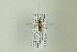  ( - NHMO-DAR-13181)  @12 [ ] CreativeCommons - Attribution Non-Commercial Share-Alike (2017) Unspecified University of Oslo, Natural History Museum