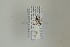  ( - NHMO-DAR-13424)  @12 [ ] CreativeCommons - Attribution Non-Commercial Share-Alike (2017) Unspecified University of Oslo, Natural History Museum