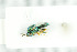  ( - NHMO-DAR-12108)  @13 [ ] CreativeCommons - Attribution Non-Commercial Share-Alike (2017) Unspecified University of Oslo, Natural History Museum