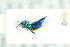  ( - NHMO-DAR-12111)  @13 [ ] CreativeCommons - Attribution Non-Commercial Share-Alike (2017) Unspecified University of Oslo, Natural History Museum