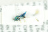  ( - NHMO-DAR-12118)  @13 [ ] CreativeCommons - Attribution Non-Commercial Share-Alike (2017) Unspecified University of Oslo, Natural History Museum