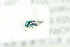  ( - NHMO-DAR-12122)  @13 [ ] CreativeCommons - Attribution Non-Commercial Share-Alike (2017) Unspecified University of Oslo, Natural History Museum