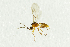  ( - NHMO-ENT-292492)  @13 [ ] CreativeCommons - Attribution Non-Commercial Share-Alike (2018) Unspecified University of Oslo, Natural History Museum
