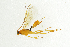  ( - NHMO-ENT-292495)  @13 [ ] CreativeCommons - Attribution Non-Commercial Share-Alike (2018) Unspecified University of Oslo, Natural History Museum