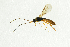 ( - NHMO-ENT-292504)  @12 [ ] CreativeCommons - Attribution Non-Commercial Share-Alike (2018) Unspecified University of Oslo, Natural History Museum